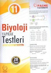 Palme Yaprak Test 11. Sınıf Biyoloji - Palme Yayınları
