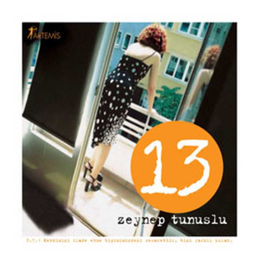 13 - Artemis Yayınları