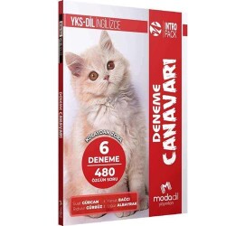 YKS-DİL IntroPack - Deneme Canavarı 6 Deneme - Modadil Yayınları