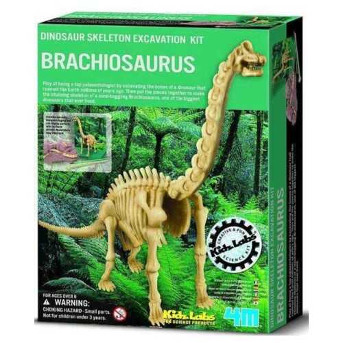 4M Brachiosaurus Skeleton Excavation