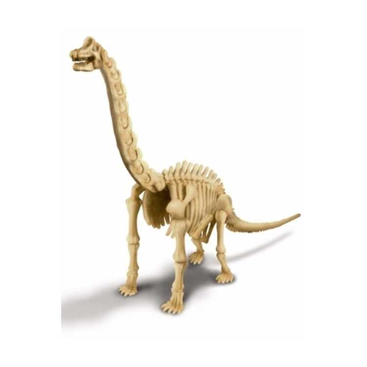 4M Brachiosaurus Skeleton Excavation