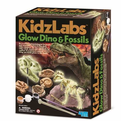 4M Glow Dino & Fossils Parlanyan Dinazor ve Fosiller