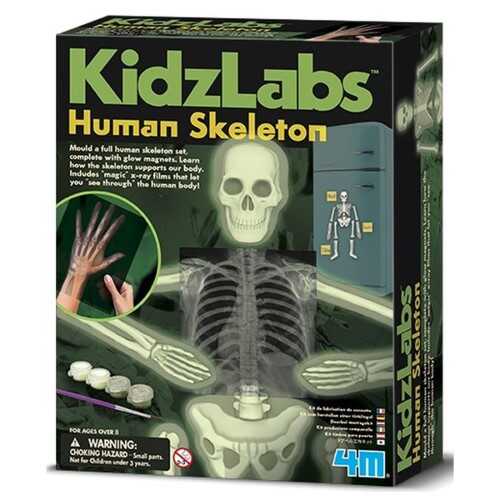 4M Glow Human Skeleton Parlayan İskelet - 1