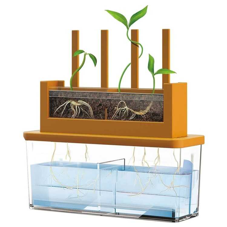4M Grow A Maze Bitki Labirenti - 3