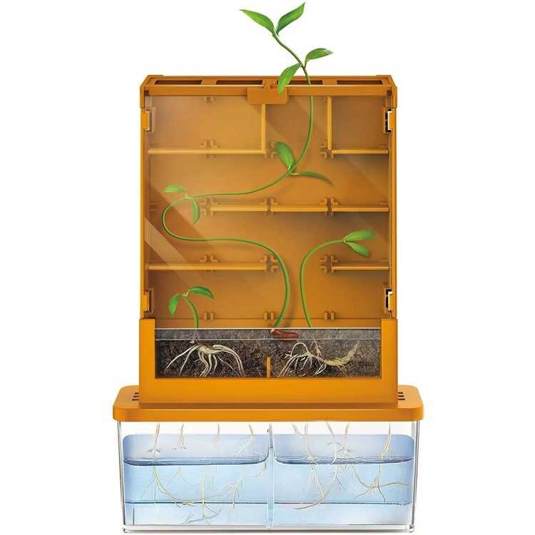 4M Grow A Maze Bitki Labirenti - 4
