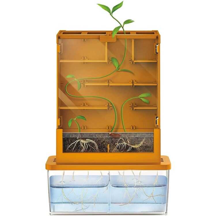 4M Grow A Maze Bitki Labirenti