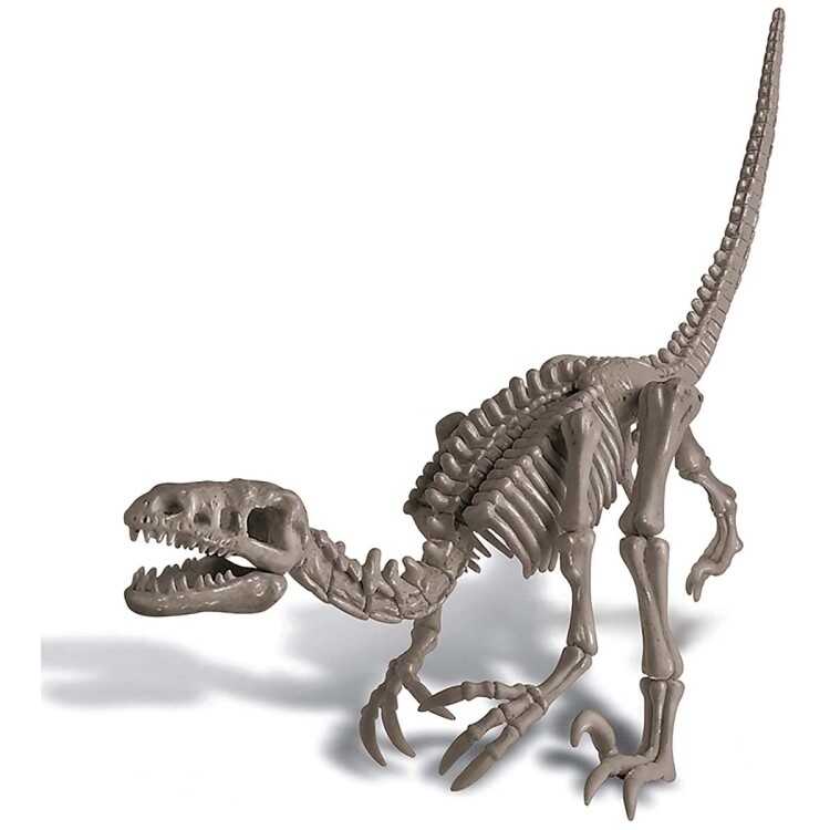 4M Velociraptor Skeleton Excavation