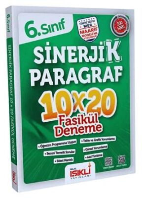 6. Sınıf Sinerjik Paragraf 10x20 Deneme - 1