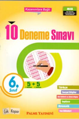 Palme 6. Sınıf 10 Deneme Sınavı - 1
