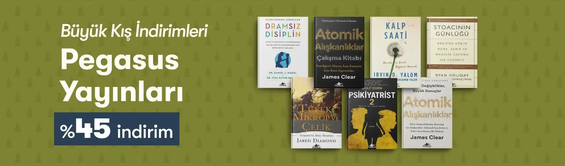 Büyük Kış İndirimleri Pegasus Yayınları
