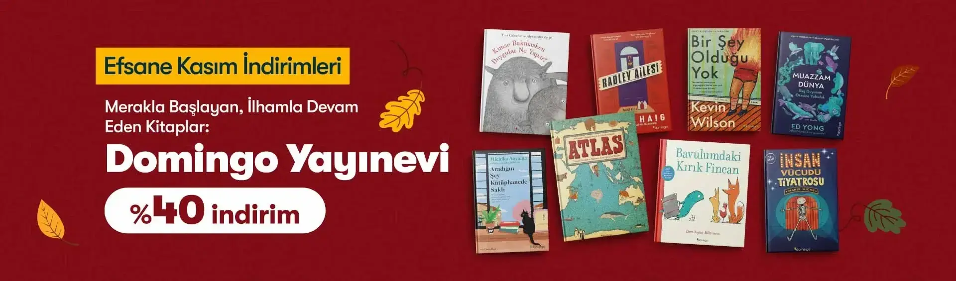 Efsane Kasım İndirimleri Domingo Yayınevi