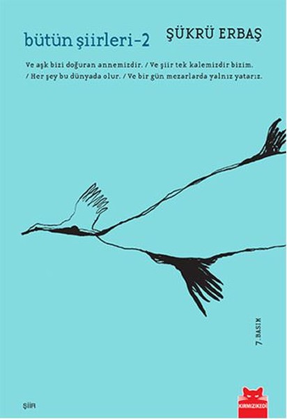 Bütün Şiirleri 2 - Şükrü Erbaş