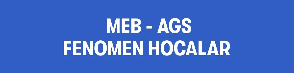 MEB-AGS Fenomen Hocalar