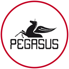 pegasus-yayinlari.png (23 KB)