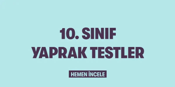 10. Sınıf Kategorileri Yaprak Testler