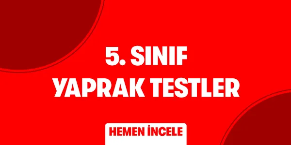 5. Sınıf Kategorileri Yaprak Testler