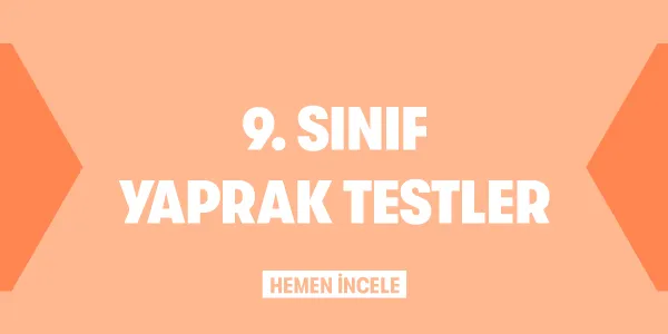 9. Sınıf Kategorileri Yaprak Testler