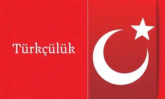 Türkçülük Nedir?