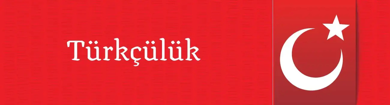 Türkçülük Nedir?