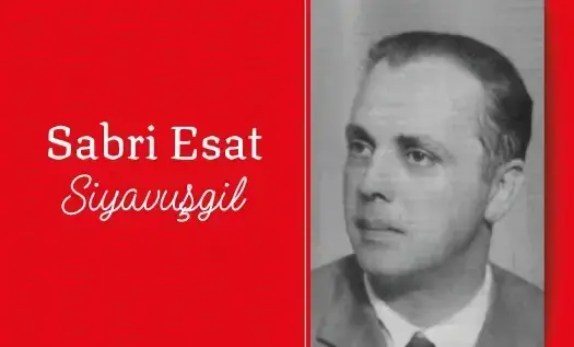 Sabri Esat Siyavuşgil Kimdir?