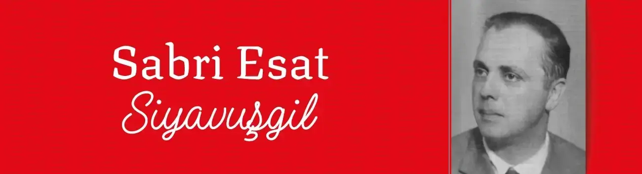 Sabri Esat Siyavuşgil Kimdir?