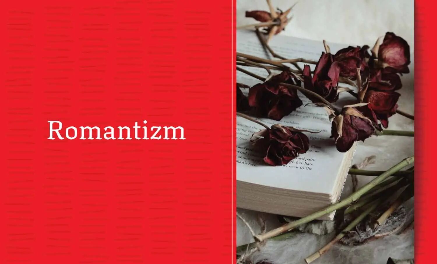 Romantizm Nedir?