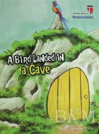 A Bird Landed in a Cave - Responsibility - EDAM