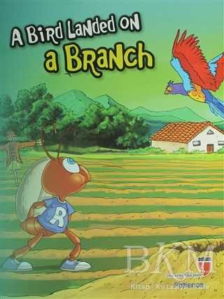 A Bird Landed on a Branch - Patience - EDAM