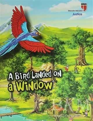 A Bird Landed On a Window