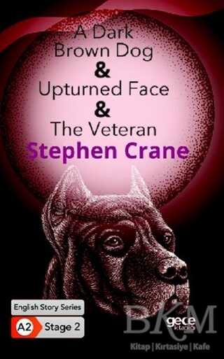 A Dark Brown Dog - Upturned Face - The Veteran - İngilizce Hikayeler A2 Stage 2 - Gece Kitaplığı