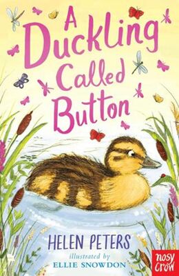 A Duckling Called Button - 1