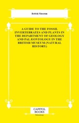 A Guide to the Fossil Invertebrates and Plants in the Department of Geology and Palæontology in the - Capitol Books