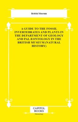 A Guide to the Fossil Invertebrates and Plants in the Department of Geology and Palæontology in the - 1