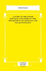A Guide to the Fossil Reptiles and Fishes in the Department of Geology and Palaeontology - Capitol Books