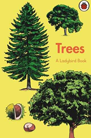 A Ladybird Book: Trees
