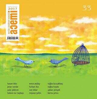 Acemi Aktüel Edebiyat Dergisi Sayı 33 - Acemi Dergisi