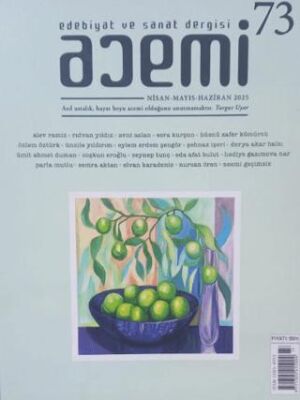 Acemi Edebiyat ve Sanat Dergisi Sayı 73 - 1