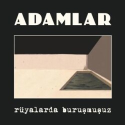 Adamlar - Rüyalarda Buruşmuşuz Plak - Plak