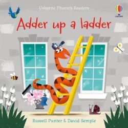 Adder up a ladder - Usborne
