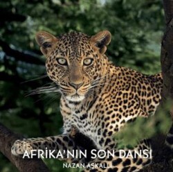 Afrika’nın Son Dansı - Kara Karga Yayınları