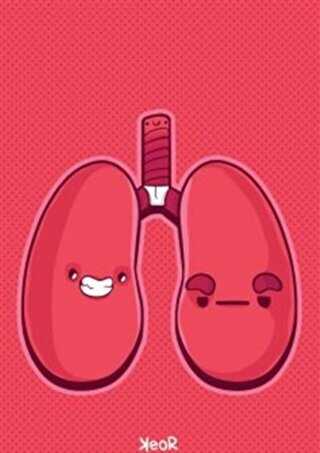 Akciğer Defter