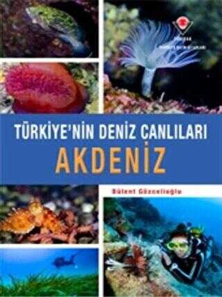 Akdeniz - Türkiye`nin Deniz Canlıları