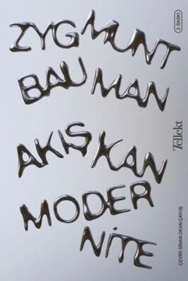 Akışkan Modernite - 1