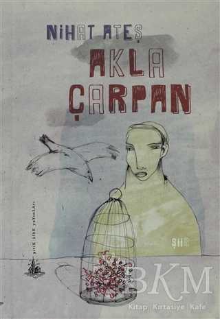 Akla Çarpan - Yitik Ülke Yayınları