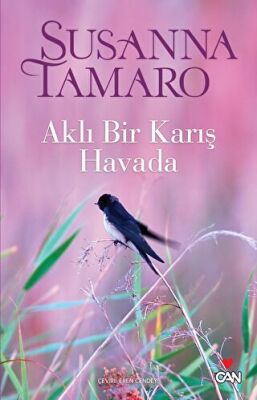 Aklı Bir Karış Havada kapağı