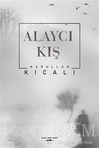 Alaycı Kış - Sokak Kitapları Yayınları