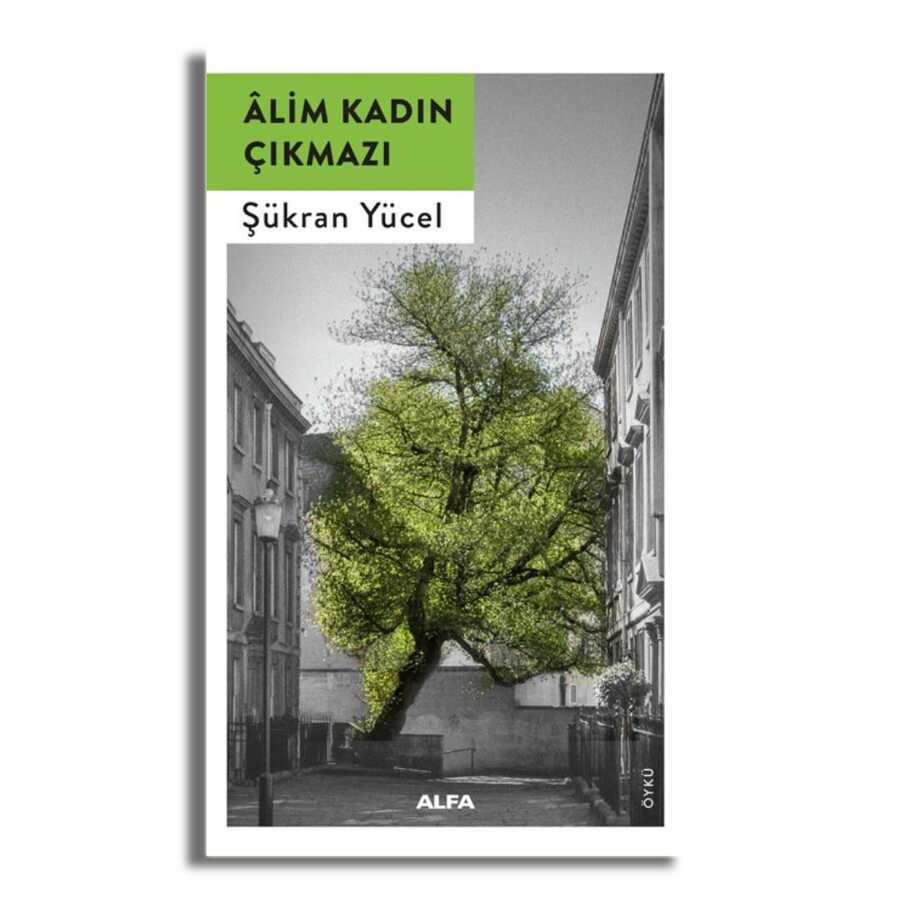 Alim Kadın Çıkmazı - Alfa Yayınları