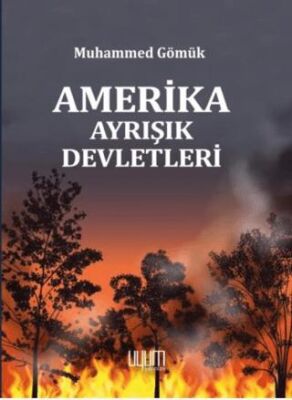 Amerika Ayrışık Devletleri - 1