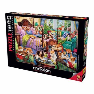 Anatolian 1000 Parçalık Puzzle - Pijama Partisi - 1