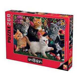 Anatolian Puzzle 260 Parça Oyuncu Kediler